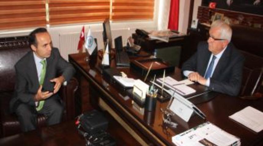 Ereğli'de Hamsi Festivali Ve &Ouml;ğretmenler G&uuml;n&uuml; Birlikte Kutlanacak