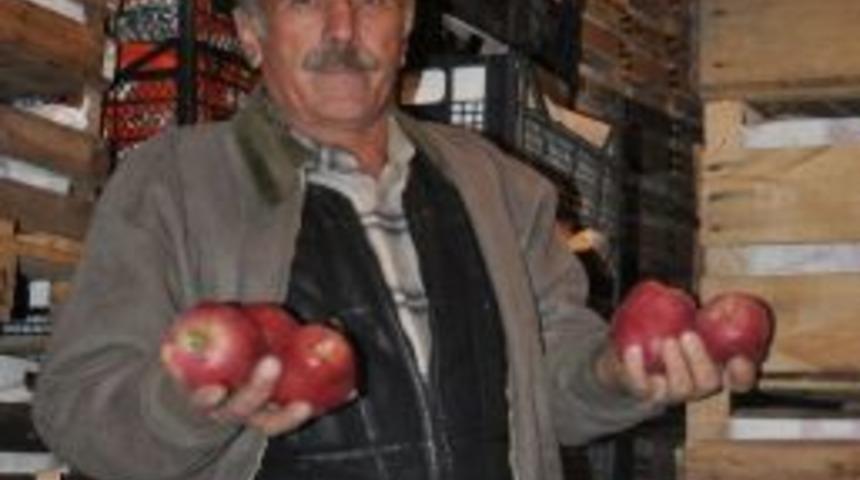 İneg&ouml;l'den Rusya'ya Meyve İhracatı