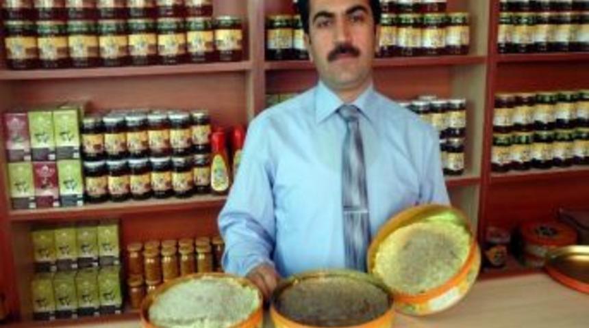 Arıcılara Devlet Desteği