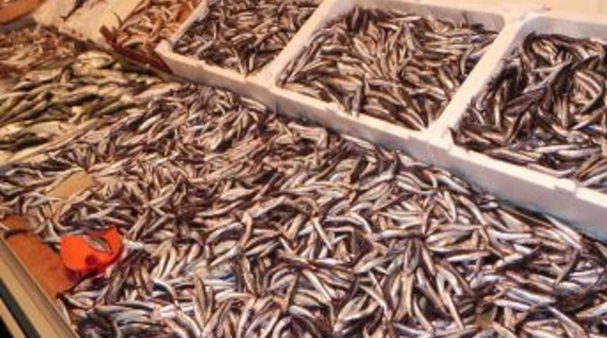 Yerli Hamsinin Kilosu 5 Liraya D&uuml;şt&uuml;