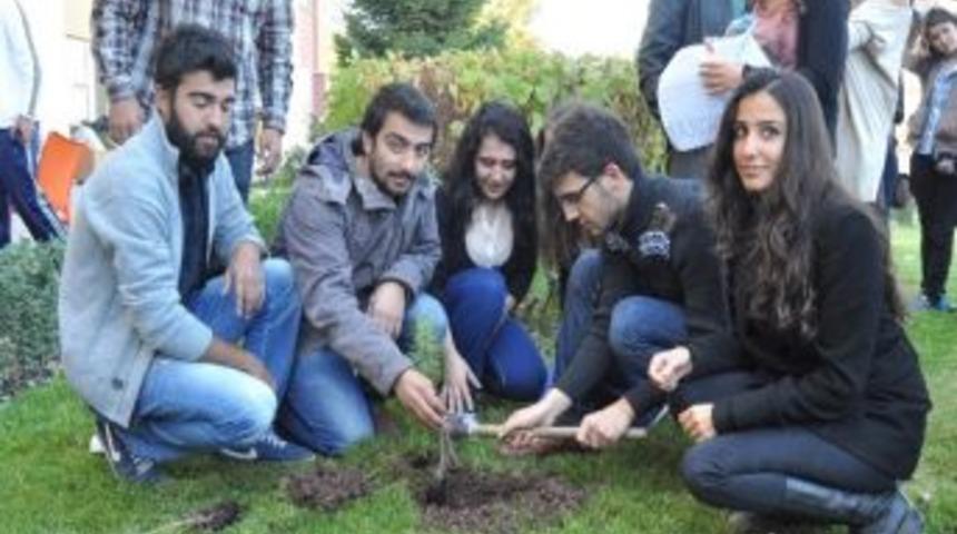 Odt&uuml; Olaylarını Protesto Eden &Ouml;ğrenciler Fidan Dikti