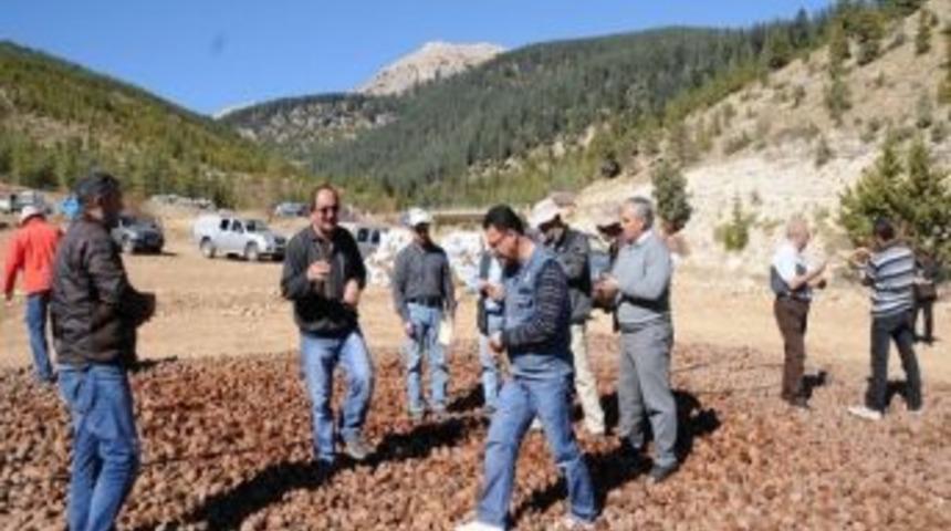 L&uuml;bnanlı Ormancılara Mersin'de Eğitim Verildi