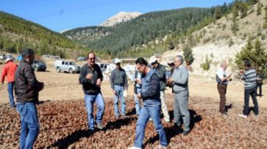 Lübnan Orman Heyeti Mersin'de