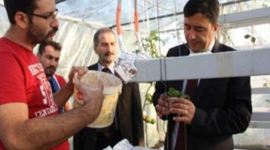 Zonguldaklı Gen&ccedil; Osmanlı &Ccedil;ileğine Topraksız &Ccedil;&ouml;z&uuml;m &Uuml;retti