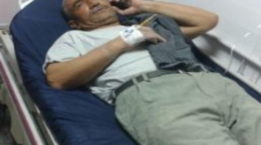 Evde Yatarken Akrep Soktu