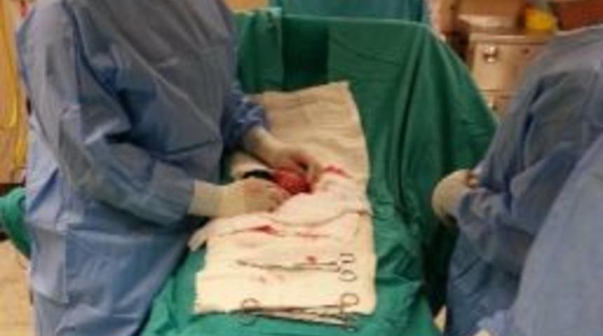 Rahminden 28 Tane Miyom &Ccedil;ıktı