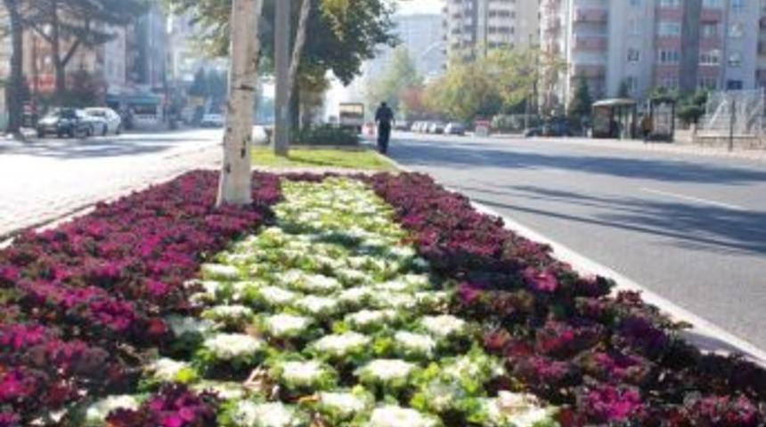 Caddelere 100 Bin Adet Lale Soğanı, Nergis Ve Yıldız &Ccedil;i&ccedil;eği