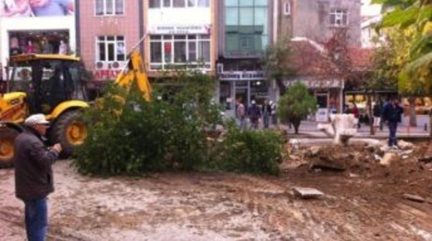 Chp&rsquo;li Belediyenin S&ouml;kt&uuml;ğ&uuml; Ağa&ccedil;lara Ak Parti Tepki G&ouml;sterdi