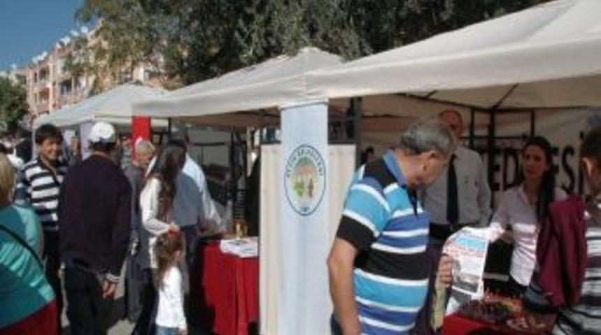 Aydın Belediyesi Zeytin Ve Zeytinyağını Tanıttı