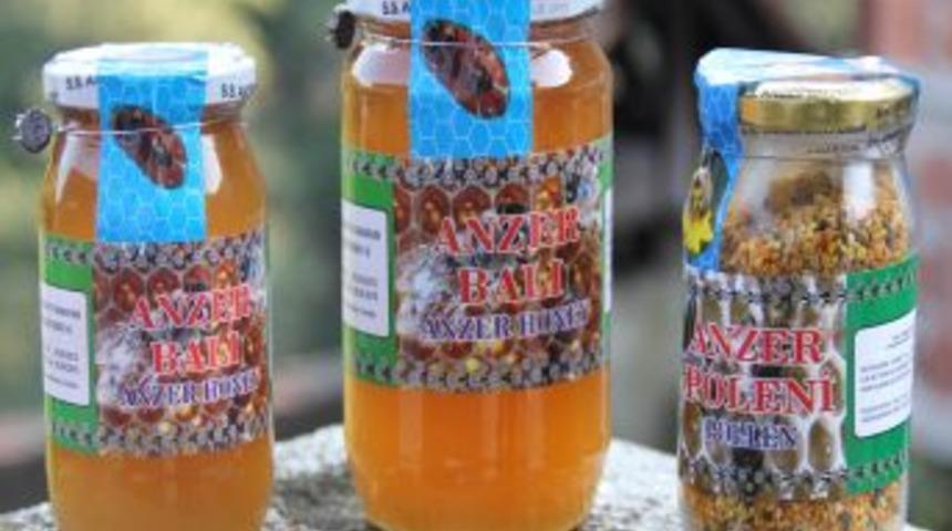 Başbakan&rsquo;ın Kovanından 1,5 Kilo Anzer Balı &Ccedil;ıktı