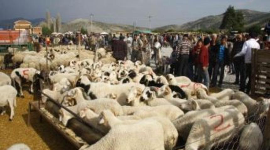 Kurbanlıklar Bu Yıl Geri D&ouml;nmedi