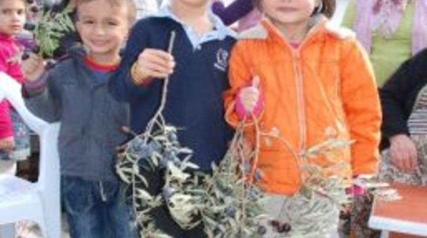 Torbalı Zeytin Festivaline Hazırlıyor