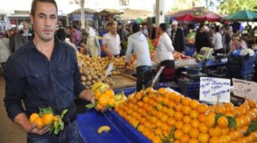 G&uuml;m&uuml;ld&uuml;r Mandalinası B&uuml;y&uuml;k İlgi G&ouml;r&uuml;yor