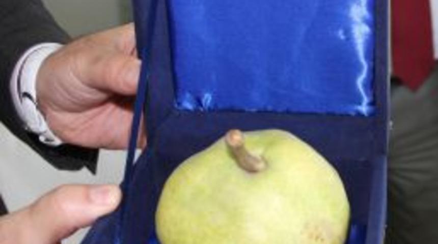 Bursa Ile &Ouml;zdeşleşen &lsquo;Deveci Armudu&rsquo; Toplantı Davetiyesi Oldu