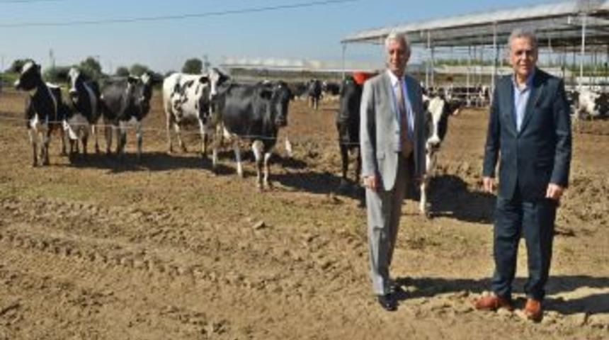 Başkan Kocaoğlu: Aliağa-Menderes'in Y&uuml;zde 85'ini Biz Yaptık