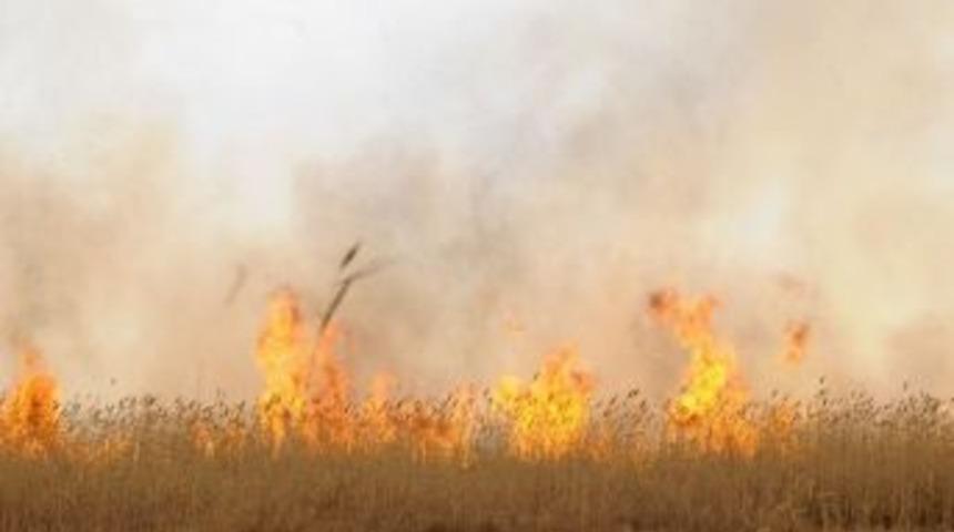 Y&uuml;ksekova'daki Kuş Cenneti Ateşe Verildi