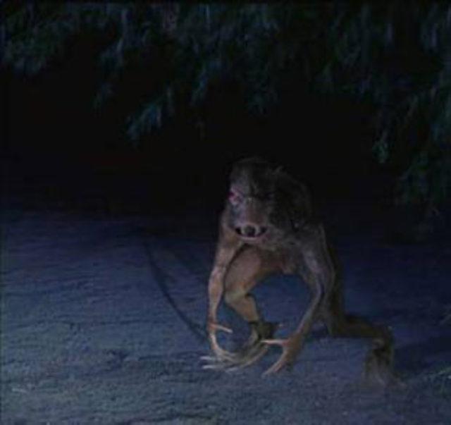 Efsanevi yaratıklar! 15