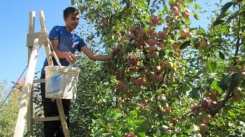 Meyve &Uuml;reticileri Erken Uyarı Sistemi Kurulmasını İstiyor