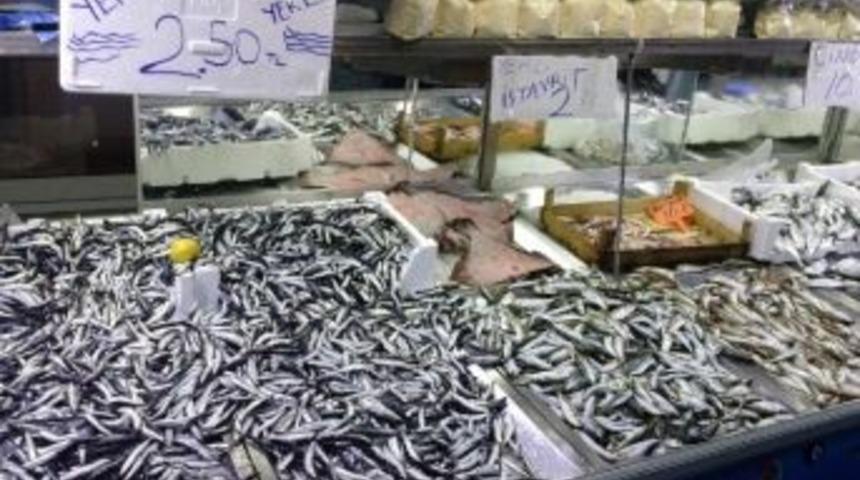 Balık Bolluğu Fiyatları D&uuml;ş&uuml;rd&uuml;