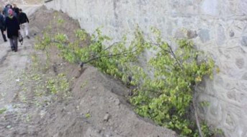 Bergama'da Otopark İ&ccedil;in Ağa&ccedil;ları S&ouml;kt&uuml;ler