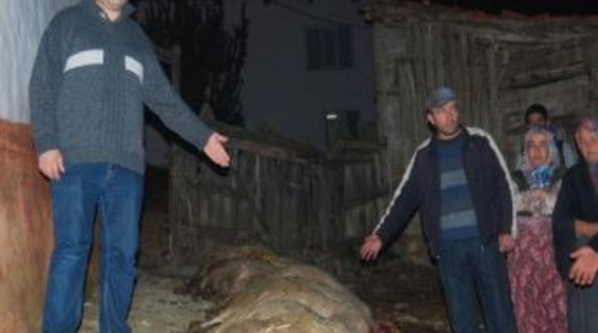 (&ouml;zel Haber) Bursa'da Esrarengiz Olay