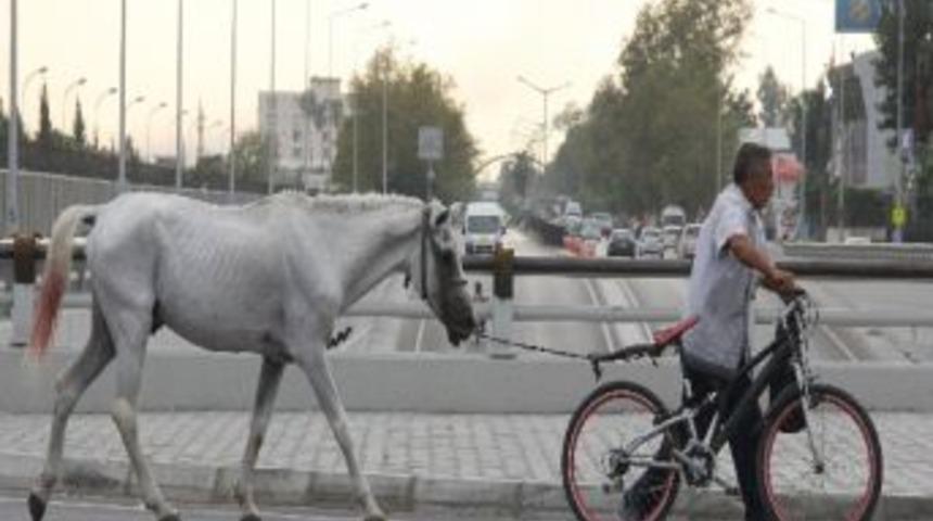 Bisikletle At &Ccedil;ekti