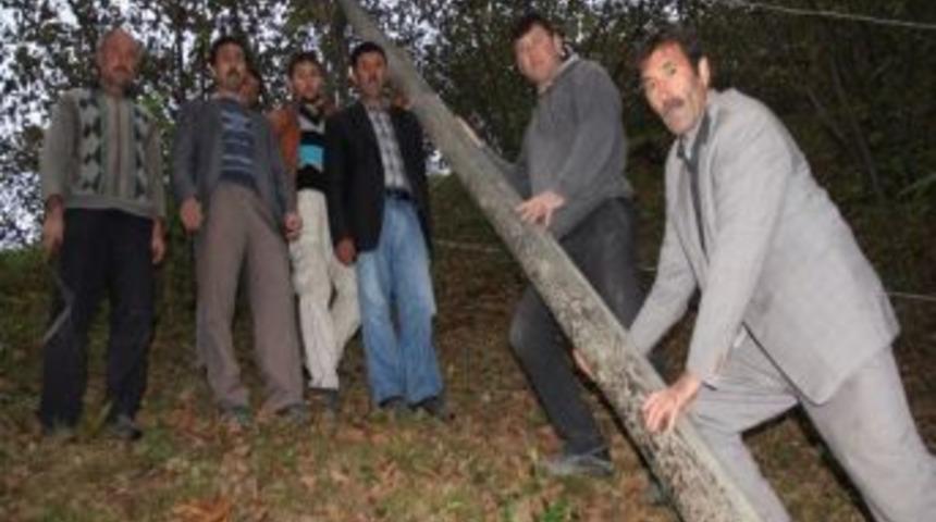 Giresun&rsquo;da, Gaz Lambalı Yaşam