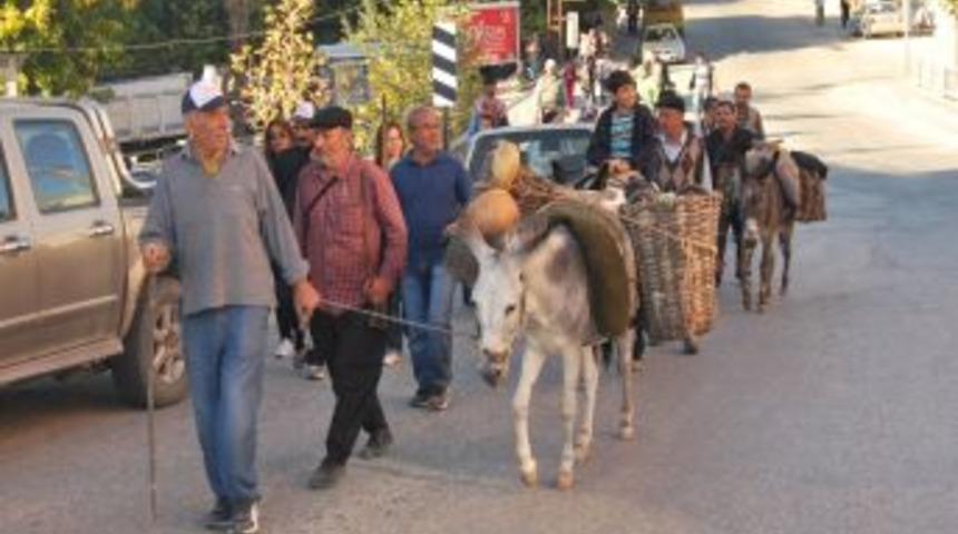 Geleneği Yaşatmak I&ccedil;in Eşeklerle 27 Km Y&uuml;r&uuml;d&uuml;ler