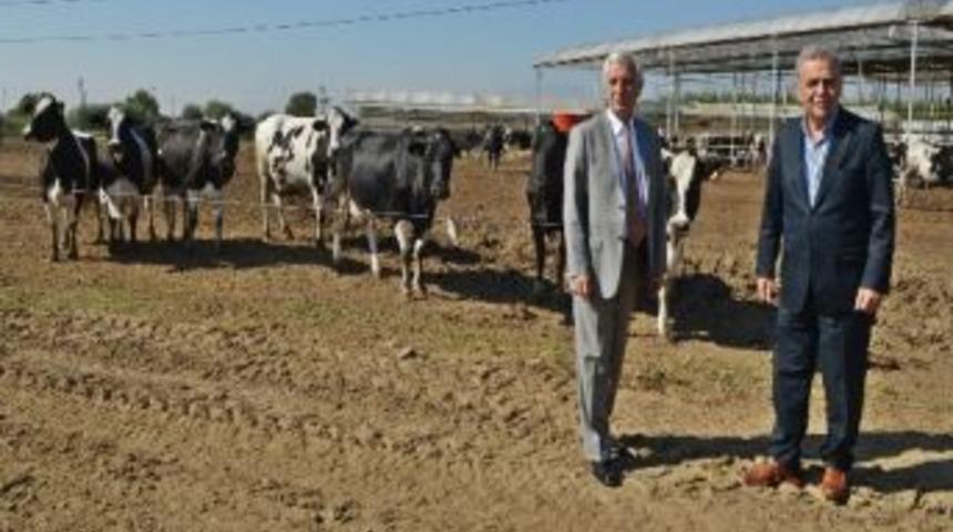 Ödemiş’te Et Entegre Tesisinin Temeli Atıldı