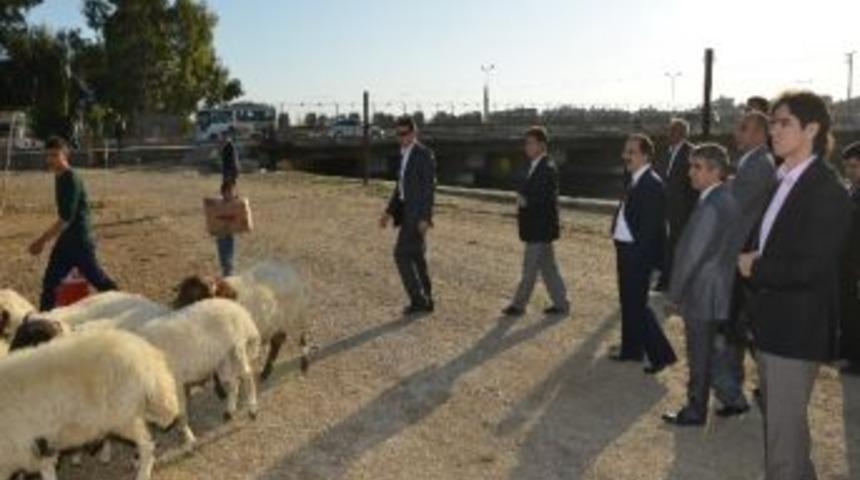 Valinin Konuşmak İstediği Koyun Satıcıları Ka&ccedil;tı