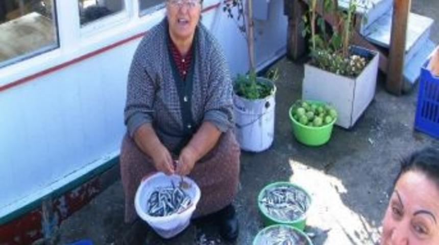 Karadeniz&rsquo;de Hamsi Bolluğu