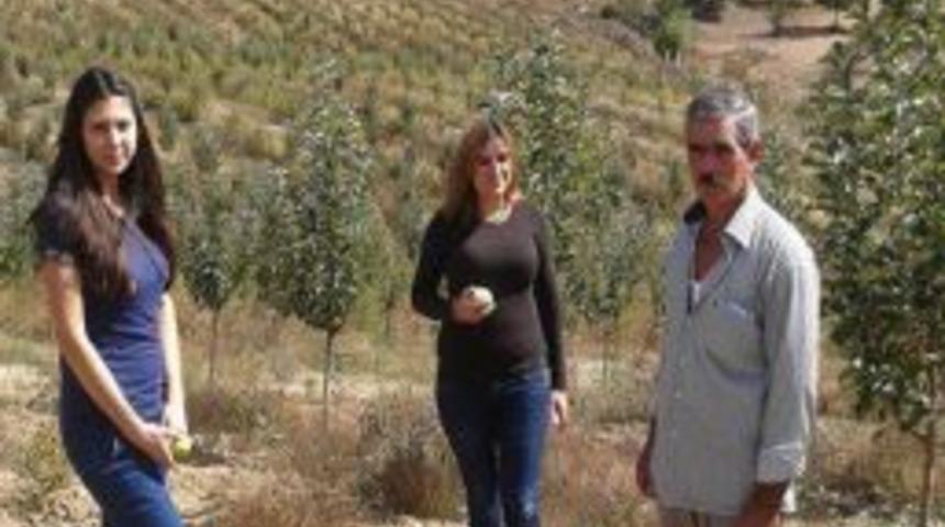 Dağ Yöresinde Katliteli Elma Üretimi Yaygınlaşıyor