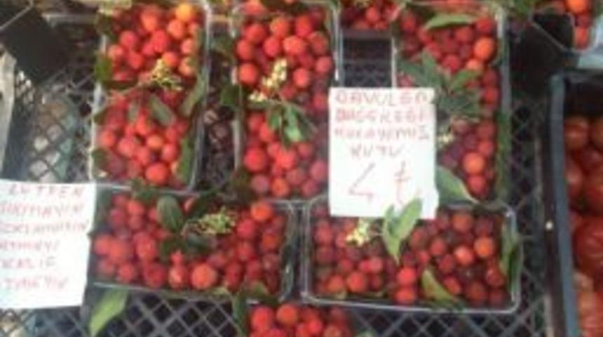 Vitamin Deposu Dağ &Ccedil;ileği Kanserden Koruyor