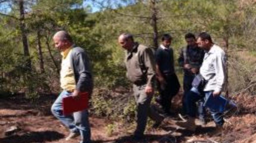 T&uuml;rkiye&rsquo;nin Orman Varlığı Onların Ellerinde Şekilleniyor