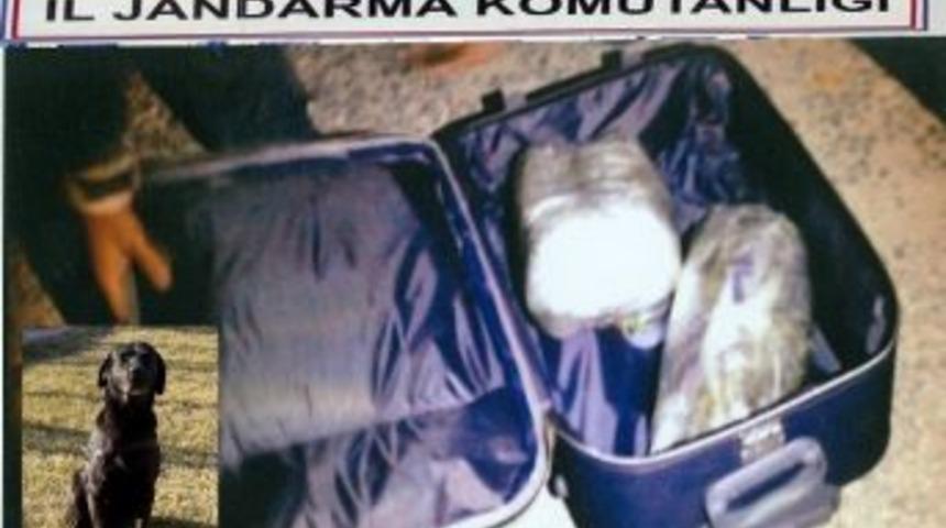 Sivas’ta Esrar Operasyonu