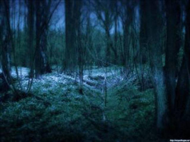 Efsanevi yaratıklar! 34