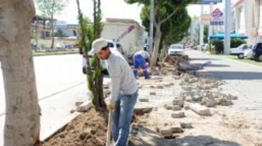 Antalya'da Aspendos Burlvarı'ndaki Ağa&ccedil;ların Yenileri Dikiliyor
