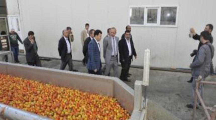 Vali Yurdakul Sal&ccedil;a Fabrikasını Ziyaret Etti