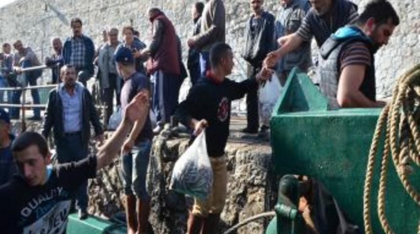 Karadeniz&rsquo;de Hamsi Bolluğu Vatandaşa Bayram Yaşattı