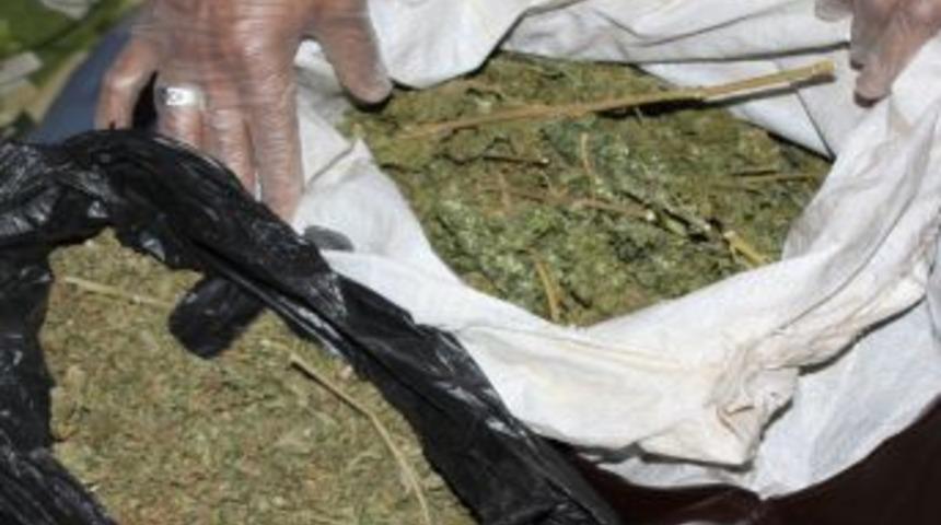 Jandarmadan Uyuşturucu Operasyonu