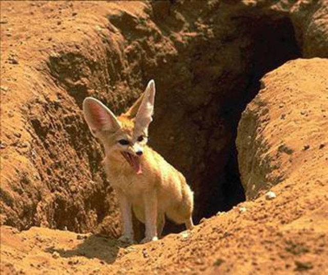 Efsanevi yaratıklar! 44