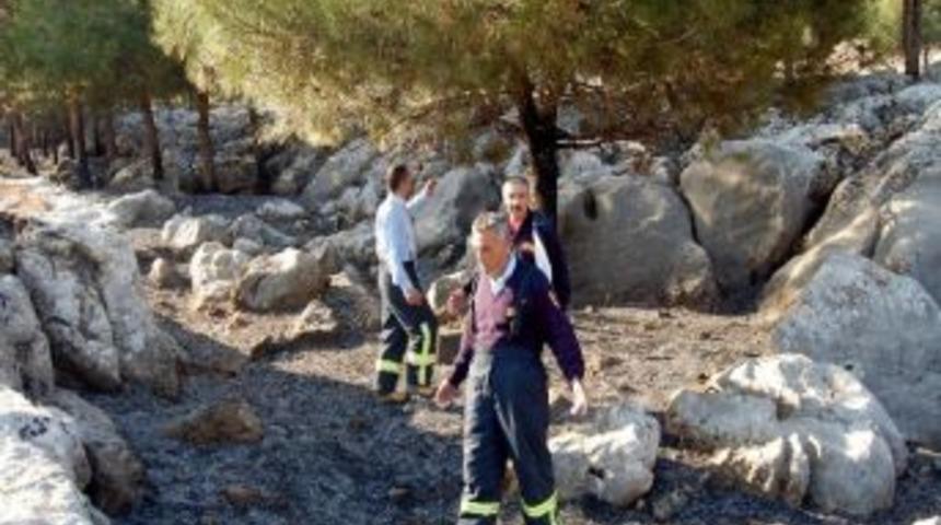 Ormanlık Alanda &Ccedil;ıkan Yangın Korkuttu