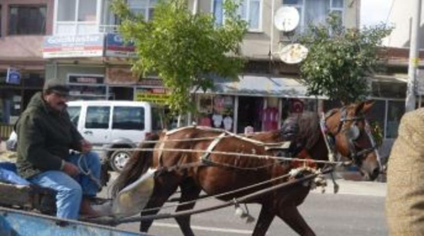 At Arabacıları İş İstiyor