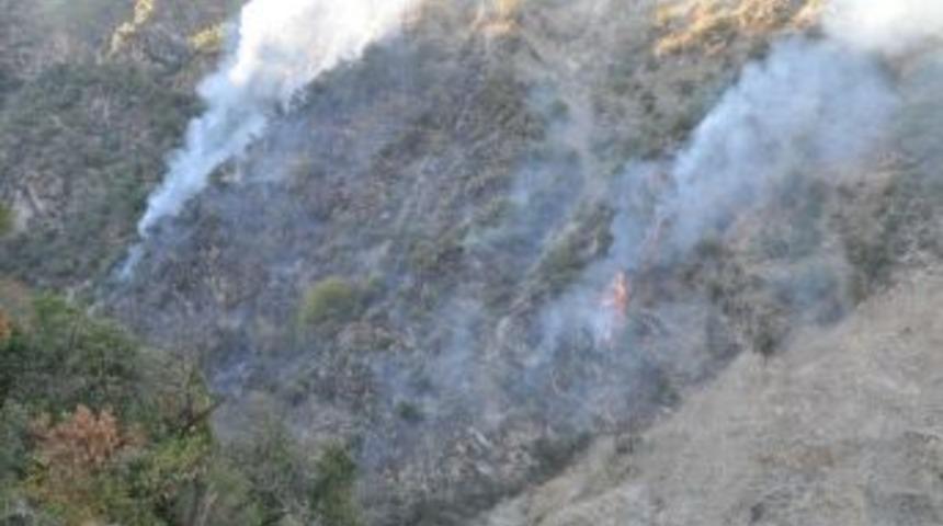 Sultanhisar&rsquo;da Orman Yangını