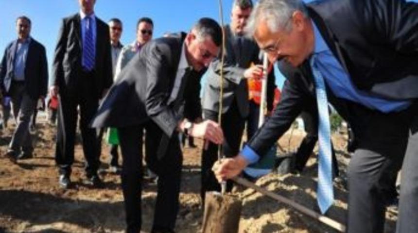 90. Yıl Hatıra Ormanı Tesis Edildi