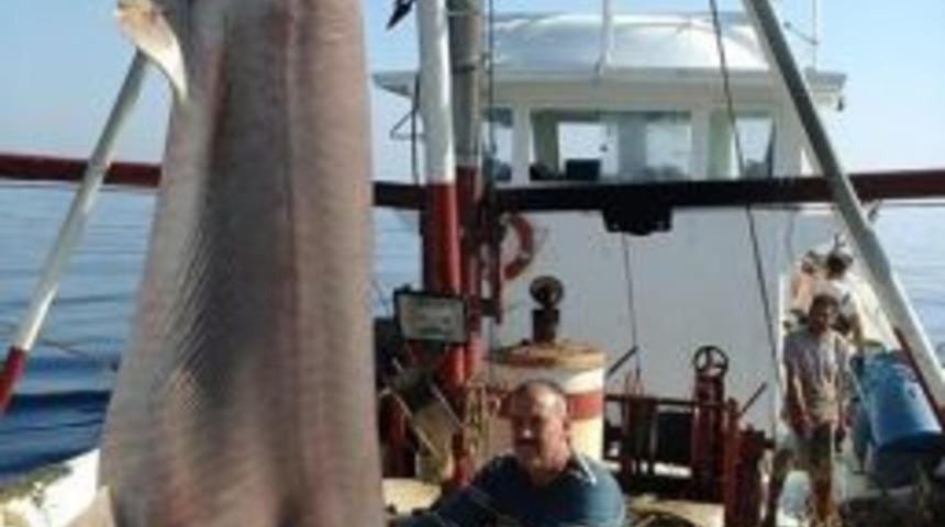 Kuşadası&rsquo;nda Ağlara 600 Kiloluk K&ouml;pekbalığı Takıldı