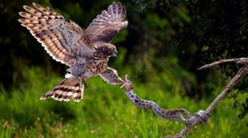 Uluslararası Fotoğraf Yarışması Sonu&ccedil;landı