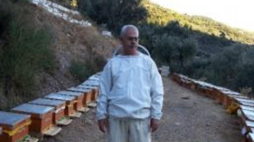 Aydın Arı Yetiştiricileri Birliği Başkanı Altın&rsquo;dan Arıcılara Uyarı