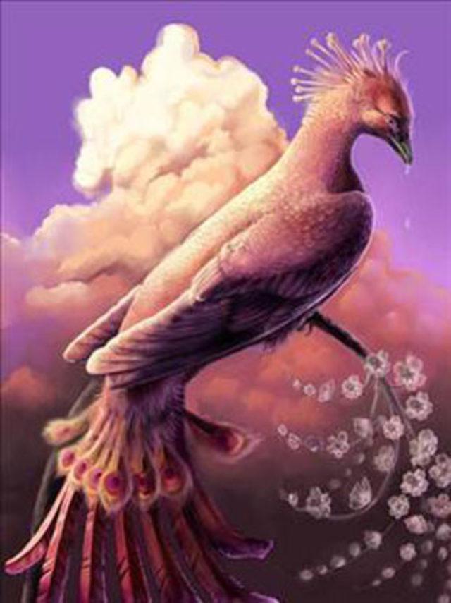 Efsanevi yaratıklar! 57