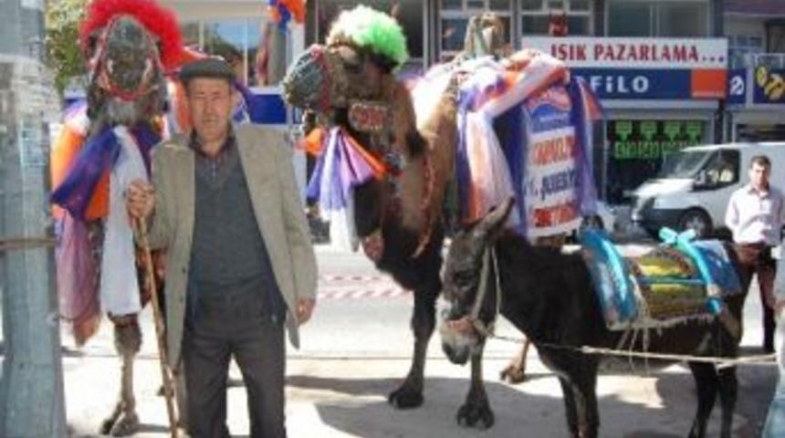 Develer Kapaklıların İlgi Odağı Oldu